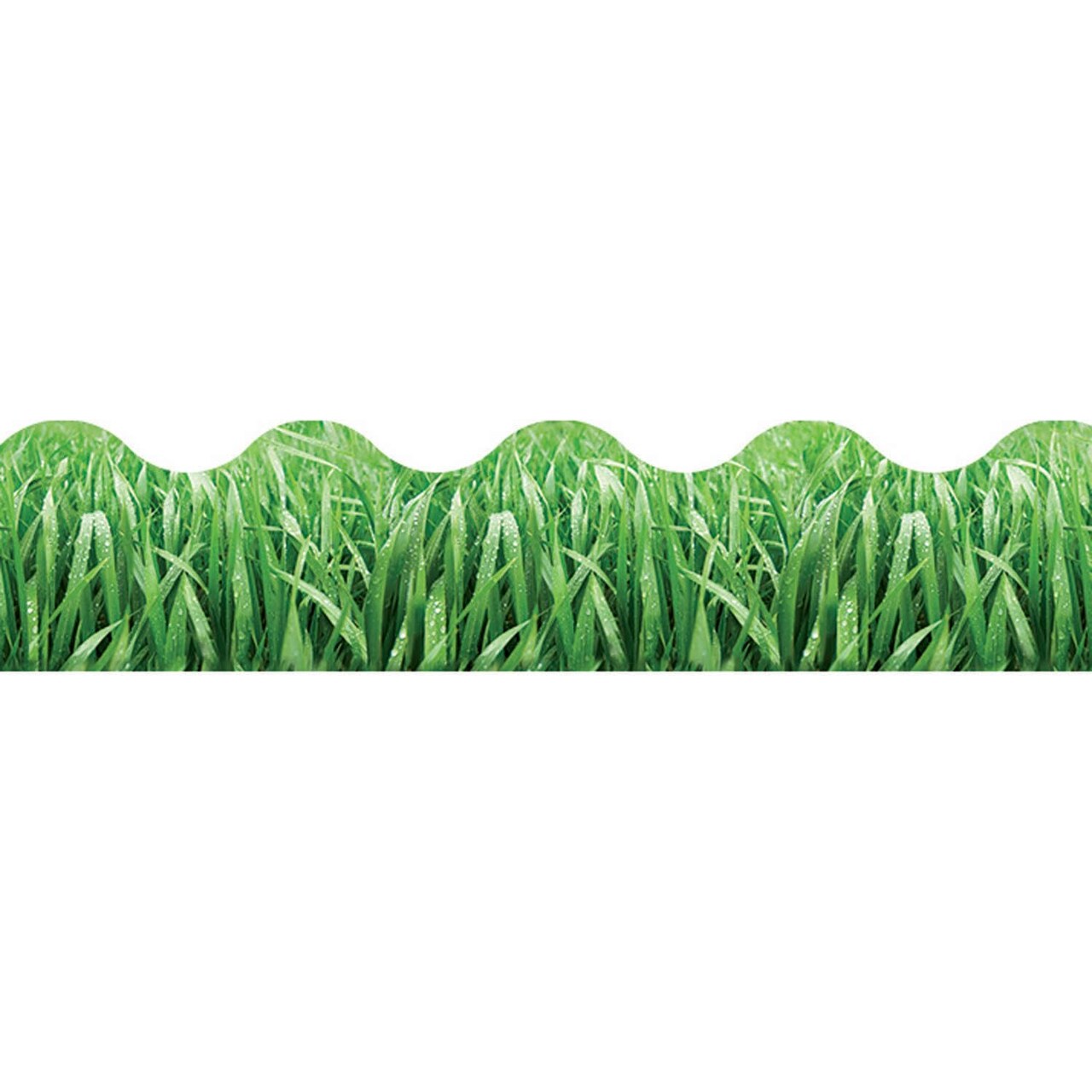 Terrific Trimmers® Grass Bulletin Board Border – 2¼ in x 39 ft, Classroom Trim